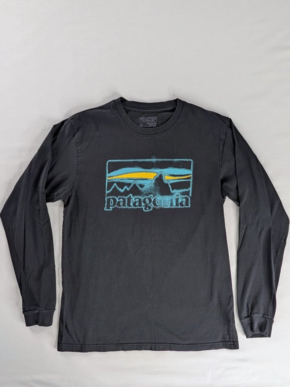 Patagonia Washed Black Organic Cotton Mountains Graphic Print Long Sleeve Shirt